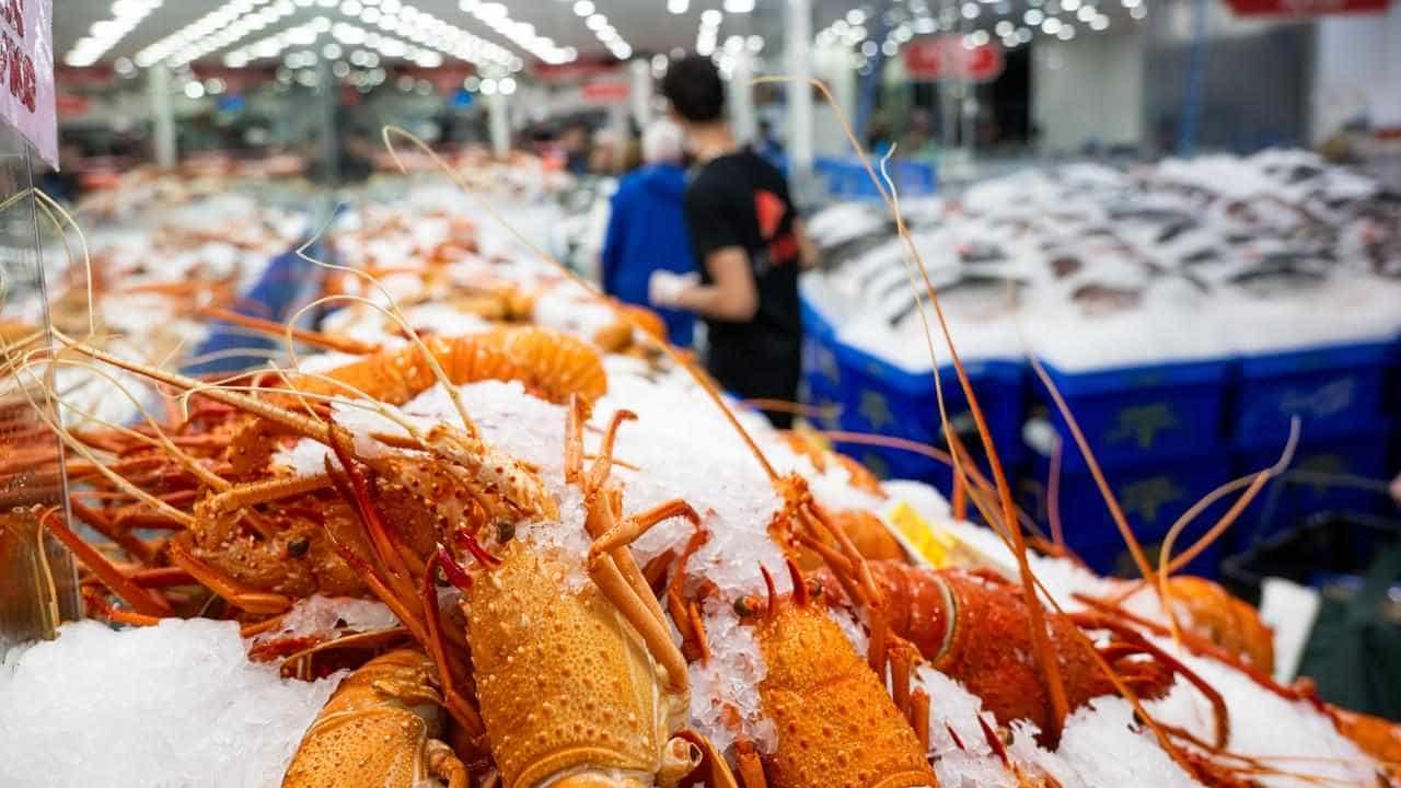 Trade war fully thawed as China drops live lobster ban