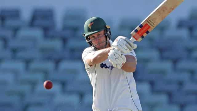 Tassie's Webster belts timely Sheffield Shield century