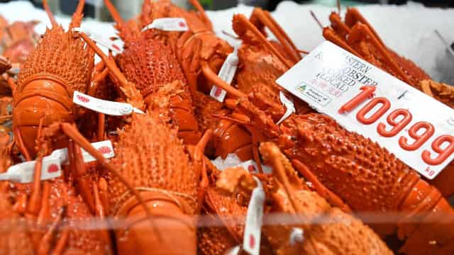 A lobster in every pot at Christmas and the New Year