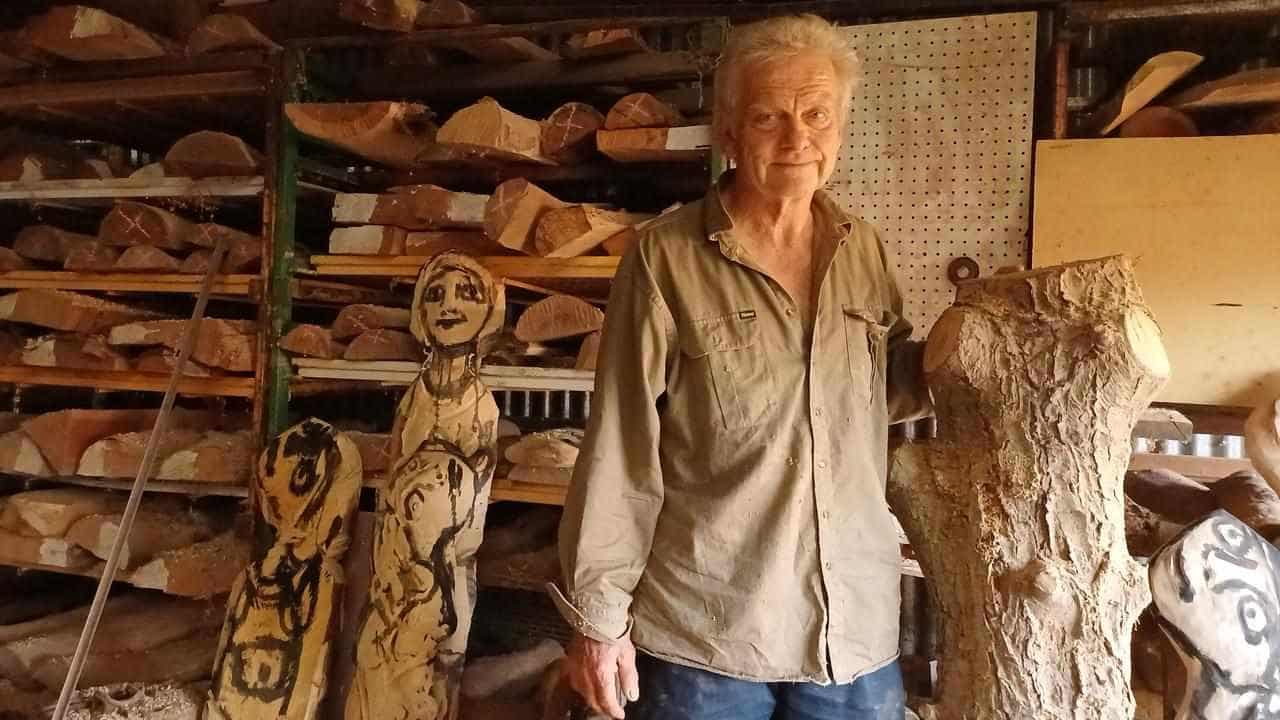 Bush sculptor lets felled trees tell their tall tales