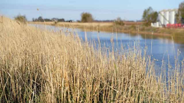 Farmland sales plumb 29-year low as price demands boom