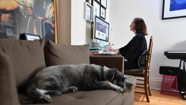 Pets in, repeat rent hikes out in long-awaited reform