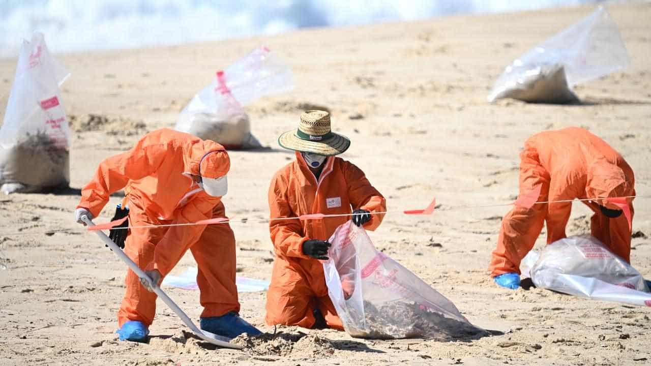 'Tar balls' shut Sydney beaches, but low safety threat