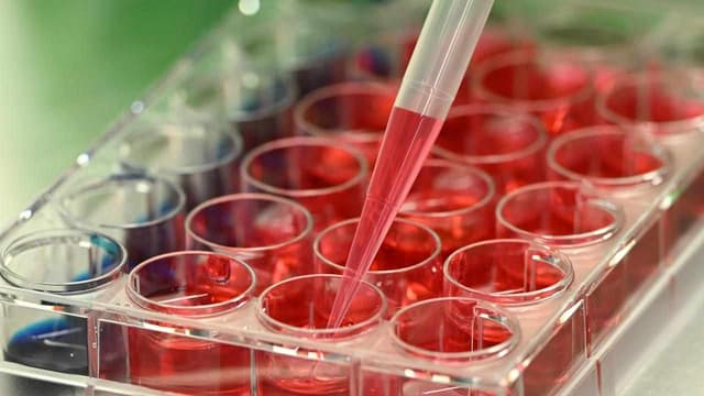 False claims about vaccine deaths resurface after Port Hedland council passes motion