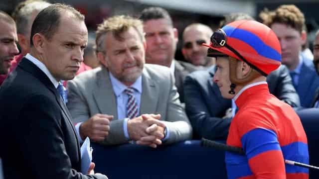 Cox Plate hope Via Sistina 'bouncing' after track scare