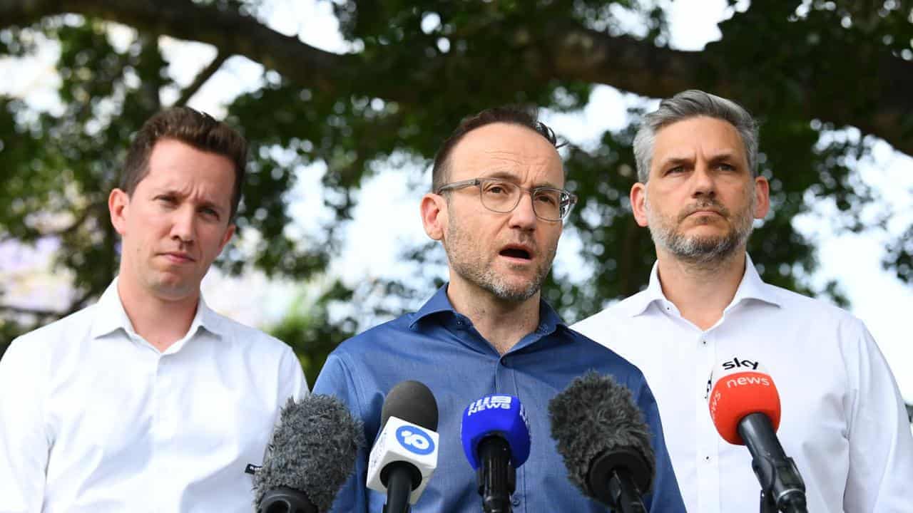 Greens point finger at Labor after another poll letdown