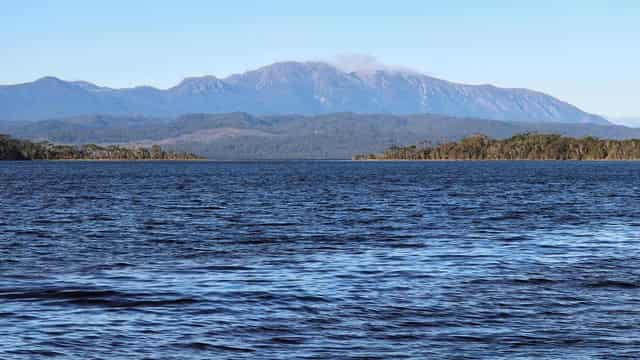 Canberra lashed for 'kicking the can' on salmon farms