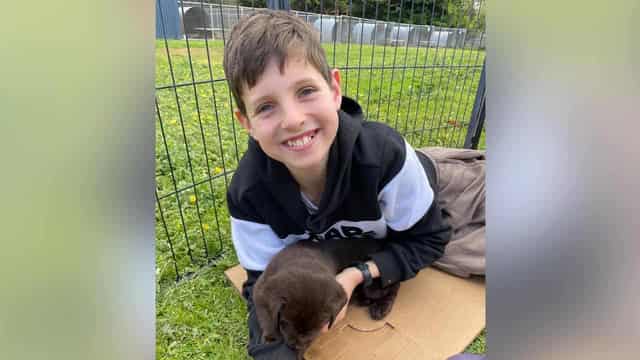 Jack Davey, 11, named as boy killed in schoolyard crash