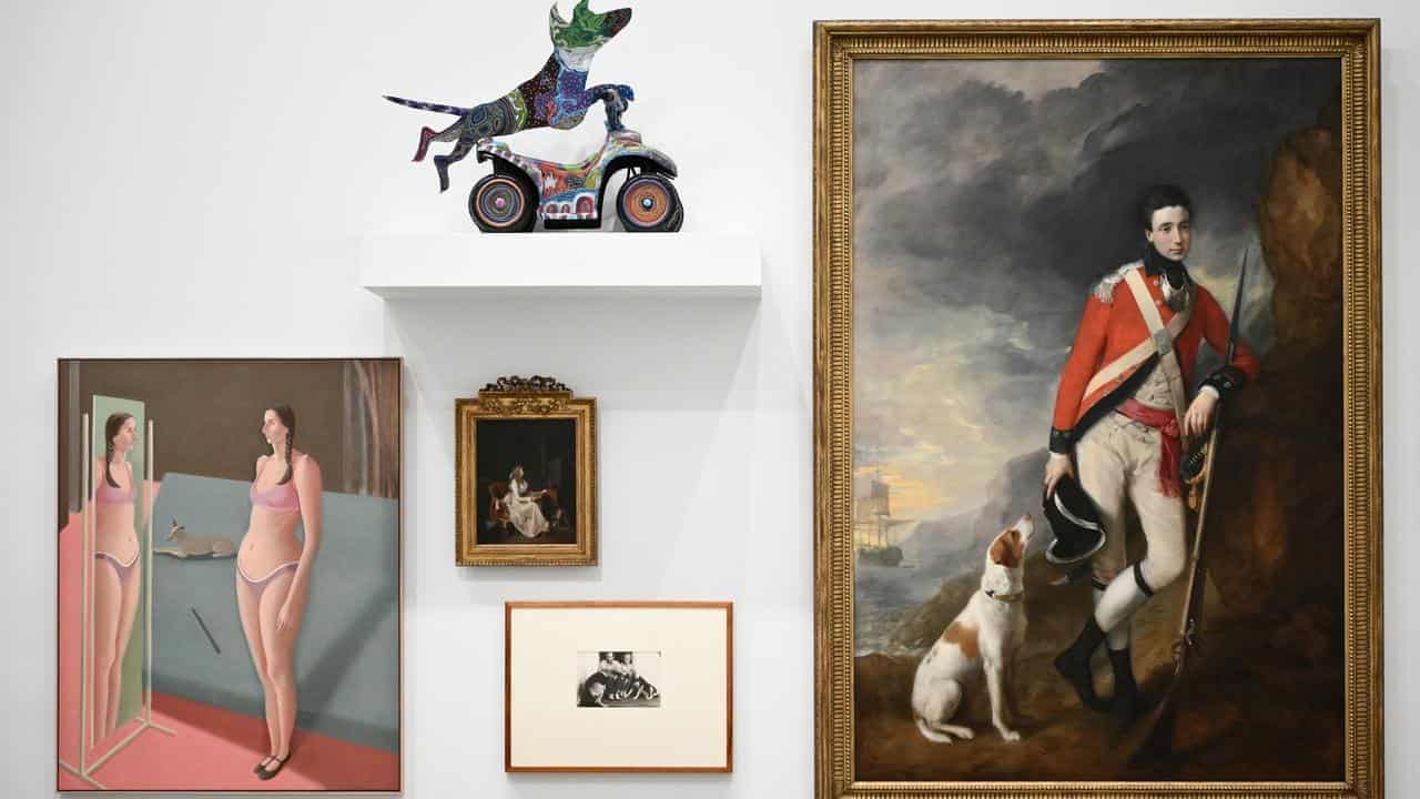 Every dog has its day at the gallery (and cats too)