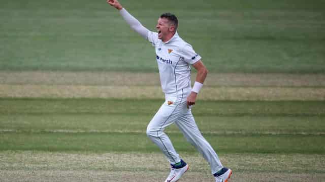 Ageless Siddle boosts depleted Vics against SA