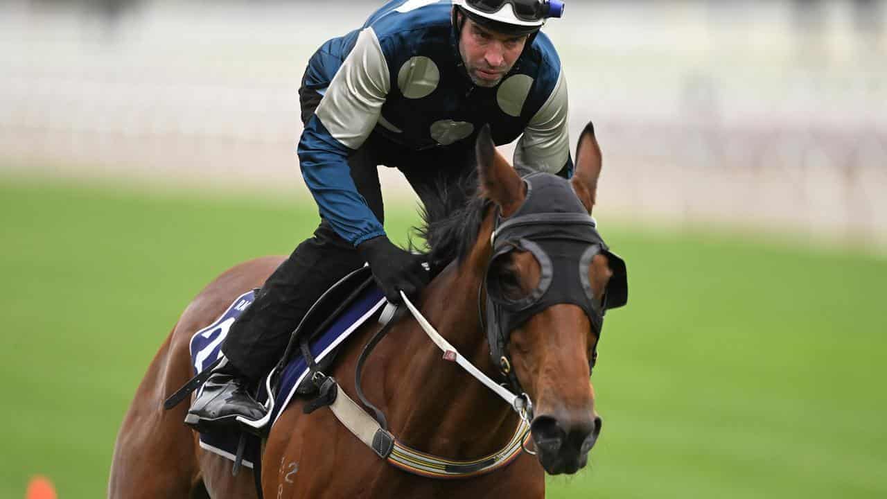 Mullins eyes Irish success in Melbourne Cup