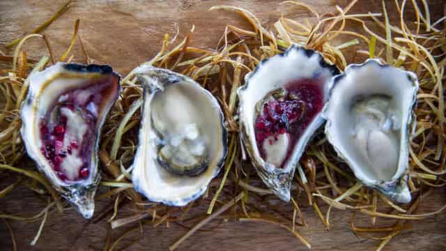 Shuck horror! WA-grown Sydney Rock Oysters heading east