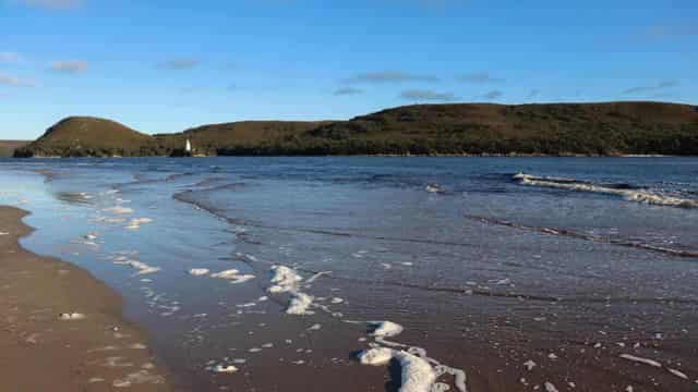 Pilot whales stuck on remote 'stranding hotspot'