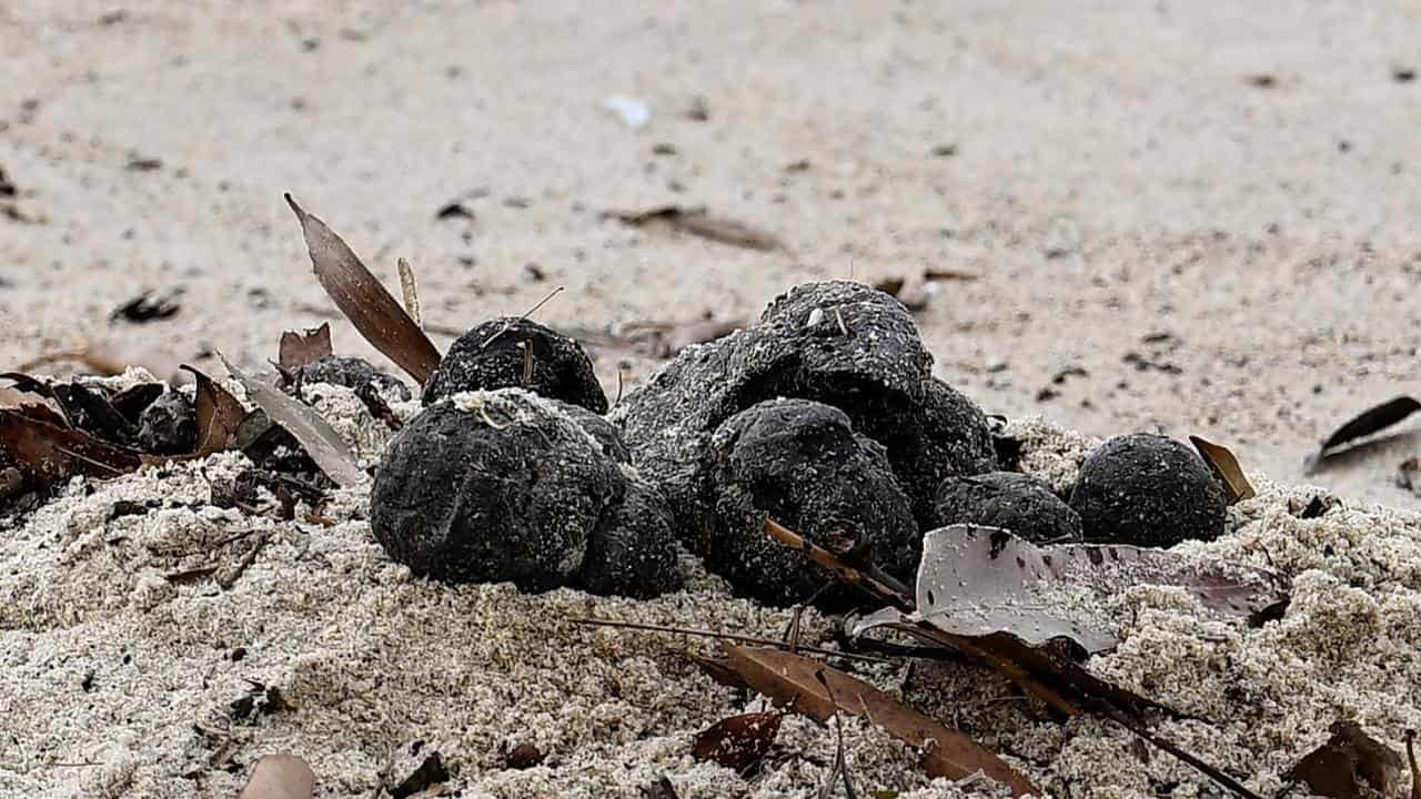 Fatberg-type waste likely source of mystery beach balls