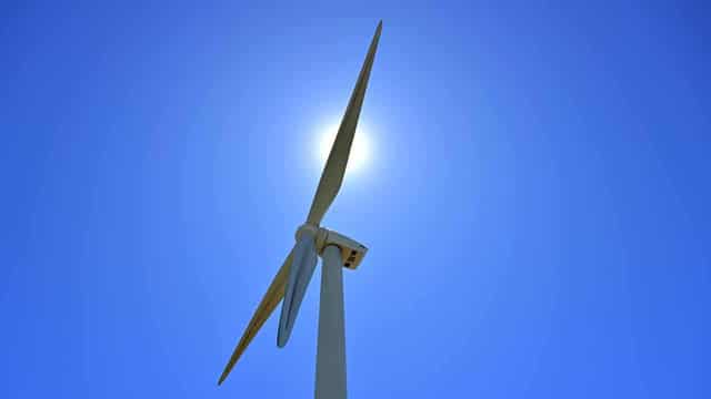 Energy minister's court loss offers wind farm reprieve