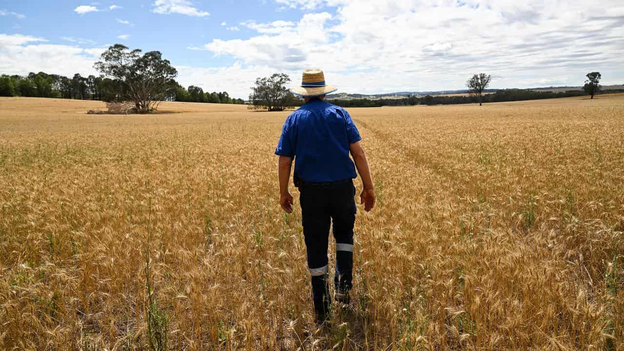 Psychology goes in search of new age Aussie farmers