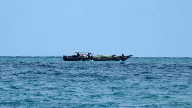 Border enforcement call after men left on remote island