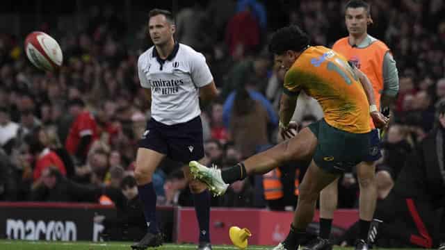 Lolesio thriving as the Wallabies' vital No.10 cog