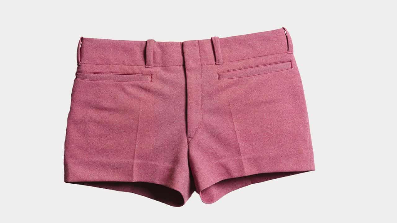 Premier's very short pink shorts star at gallery show