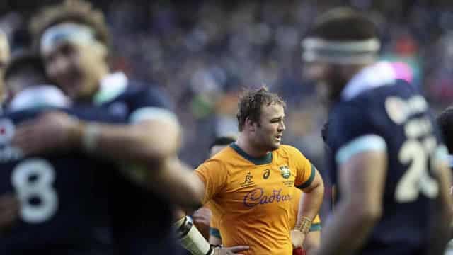 Wallabies' slam hopes slayed by Scots at Murrayfield