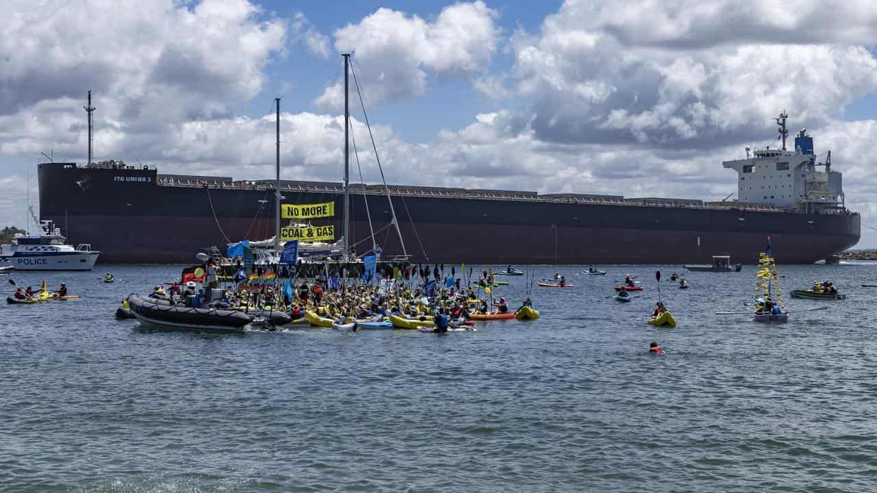 Anti-coal protests 'playing into Dutton's hands'