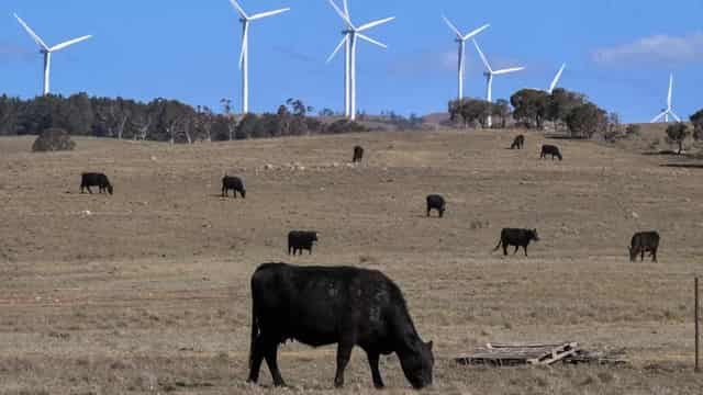 Call to listen to 'farmers not Facebook' on new energy