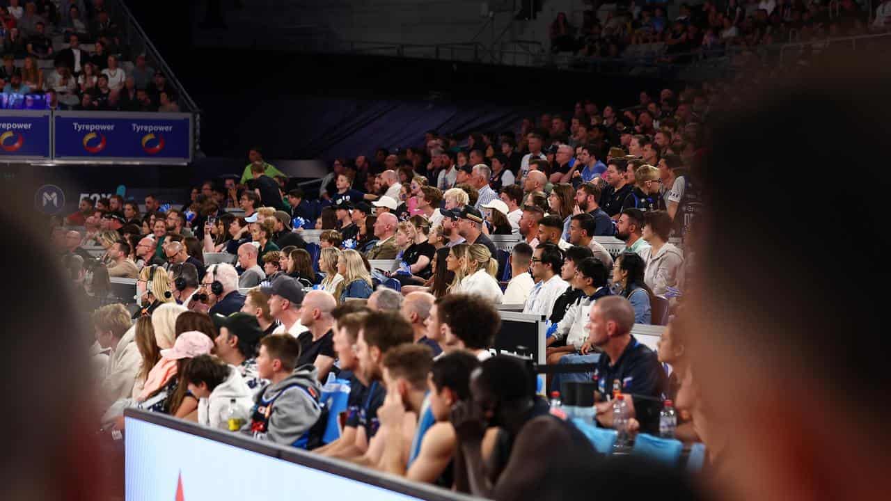 Spectator banned for life after melee with NBL players