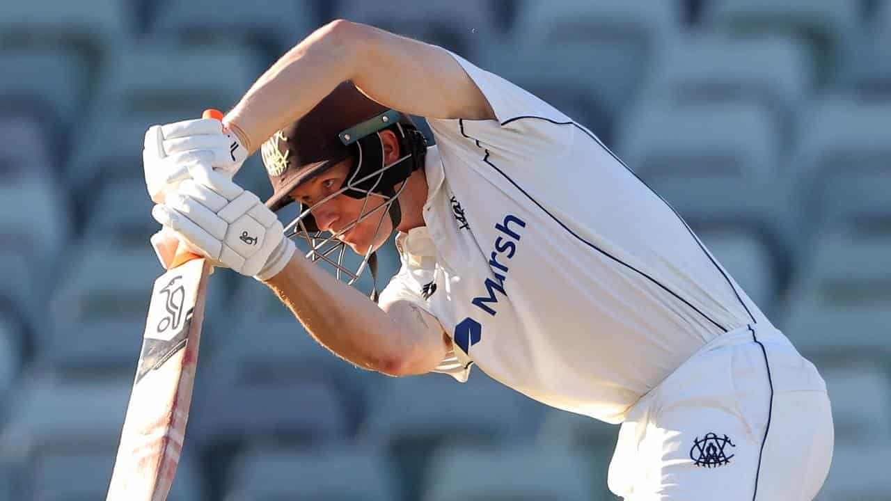 Bancroft ton not enough for WA as Redbacks secure draw