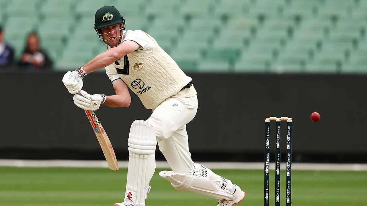 Webster comfortable batting anywhere in Test team