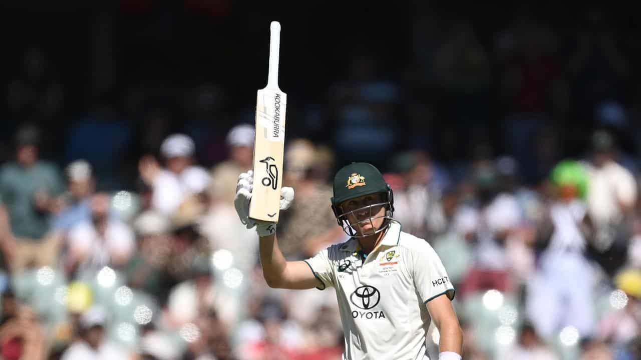 Labuschagne keeps wolves at bay with feisty knock