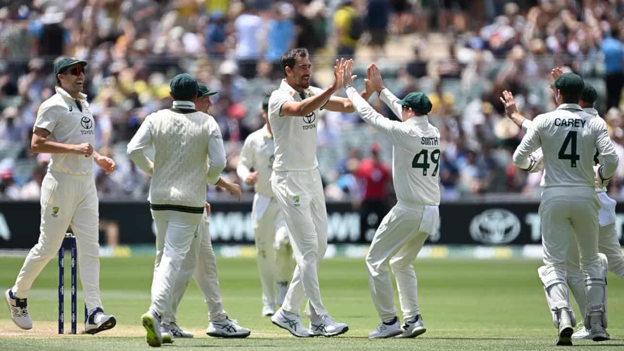 Aussies return to best in thumping Adelaide Test win