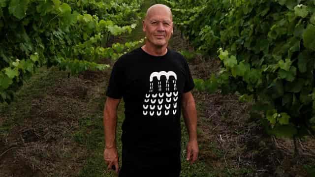 Indigenous winemakers pouring culture into every drop