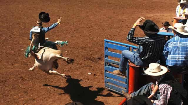 Southern hemisphere's biggest rodeo set to ride again