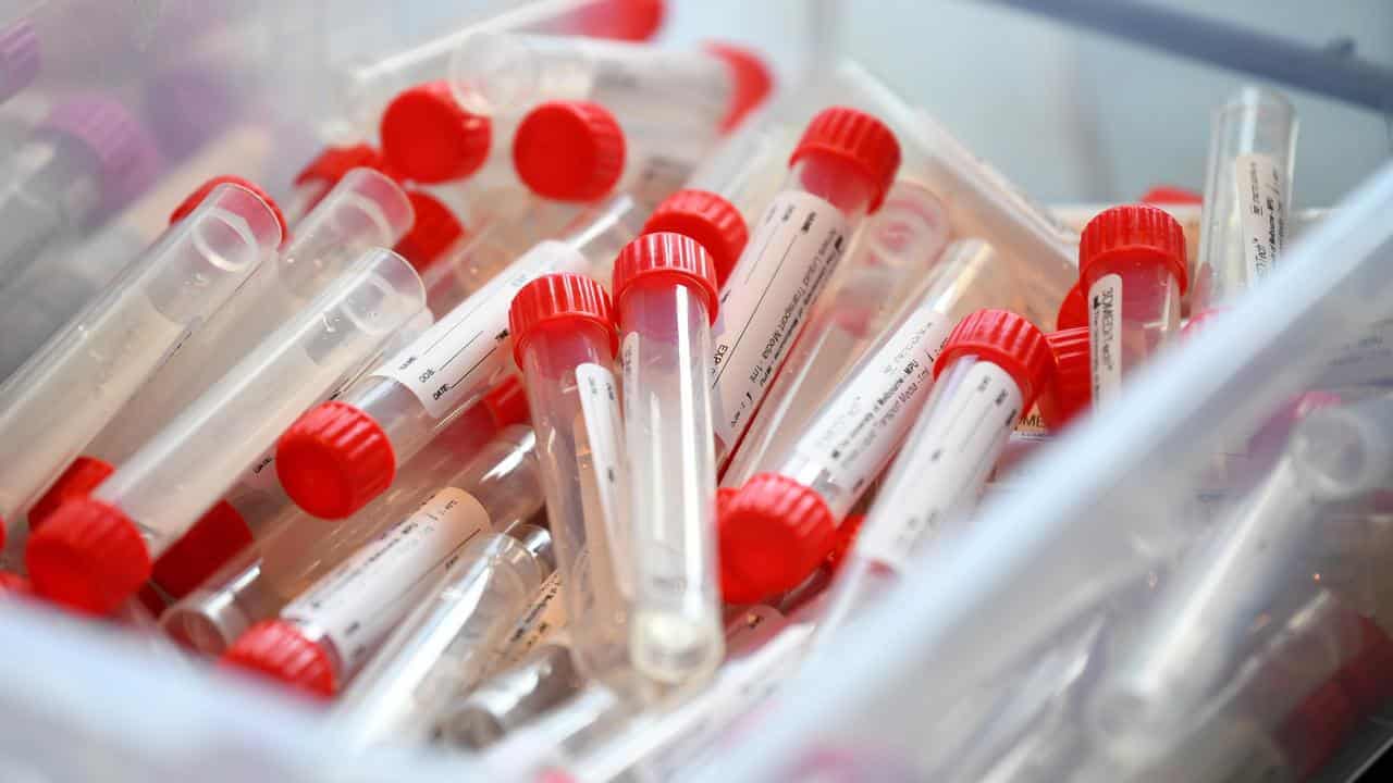 Neither Bill Gates nor 'Disease X' involved in biosecurity breach