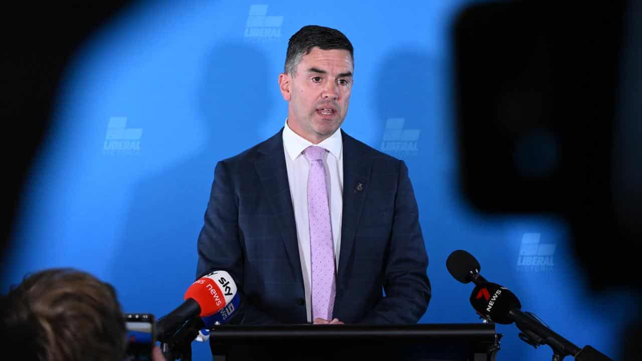 Libs Battin down the hatches as leader outlines vision