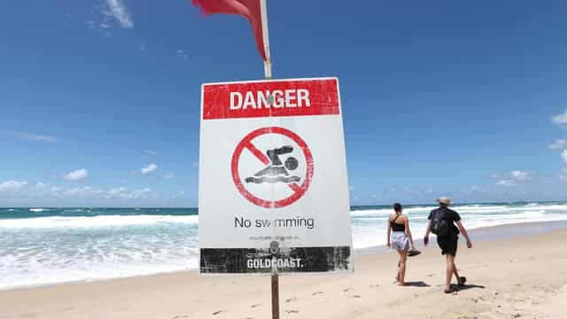 Drowning deaths claim two tourists and swimmer