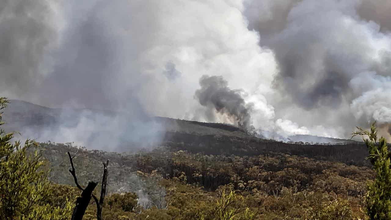 'Too late to leave': Tourist warning as bushfire burns