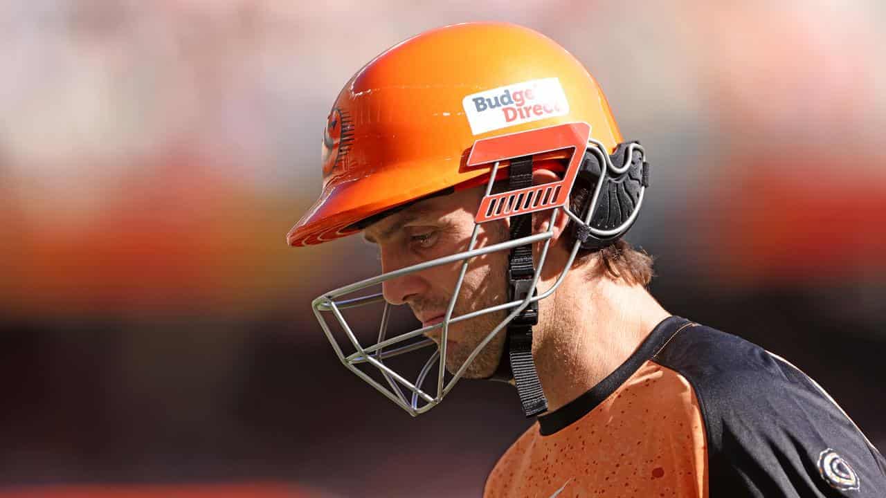 Scorchers back 'heart and soul' Mitch Marsh to blossom