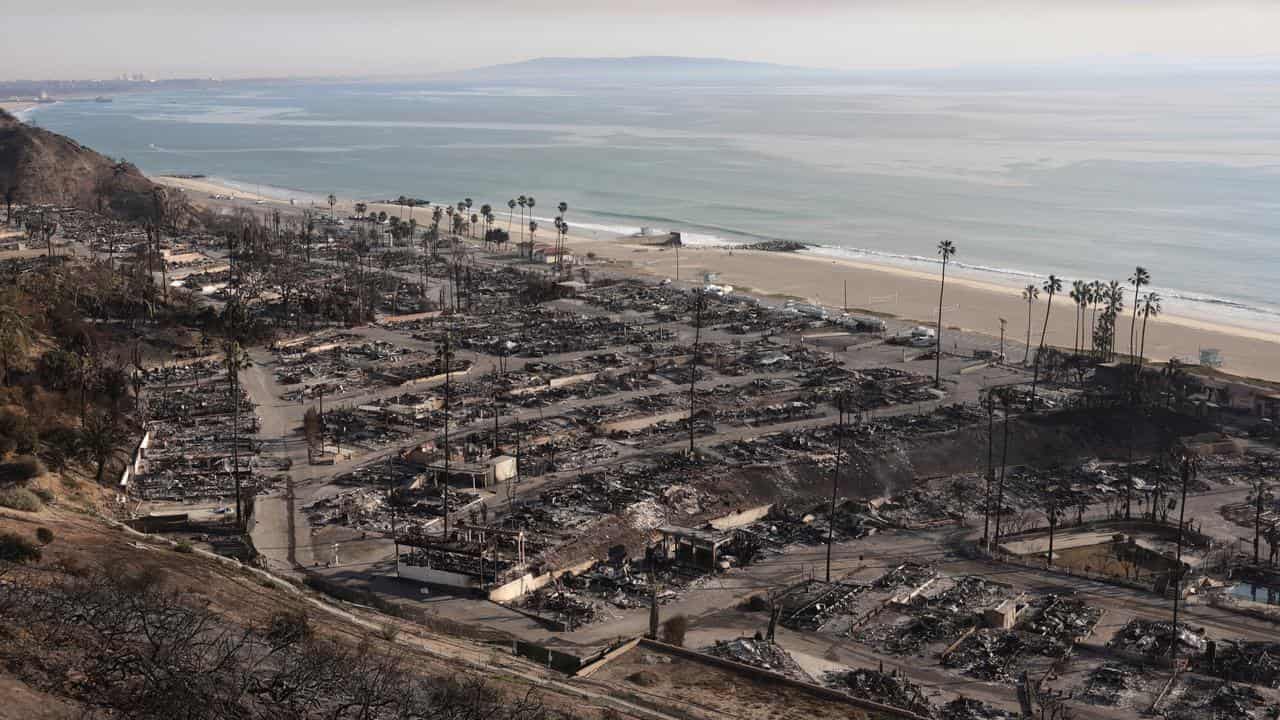 No, the WEF did not outline plans to turn LA roads into parkland before the fires