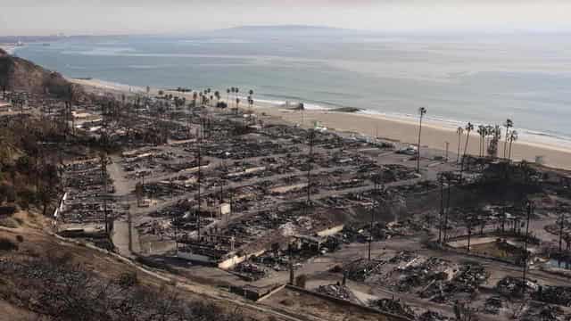 No, the WEF did not outline plans to turn LA roads into parkland before the fires