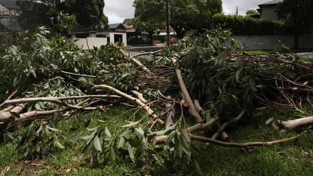 Storm declared 'natural disaster' as cyclone builds