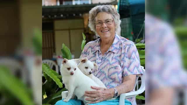 How horses, pumpkins and corn flakes made a bush legend