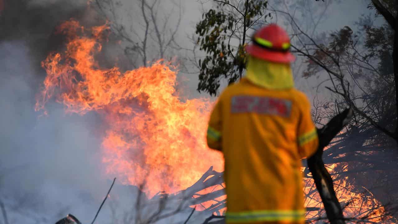 AI pioneers look to douse bushfires before they happen