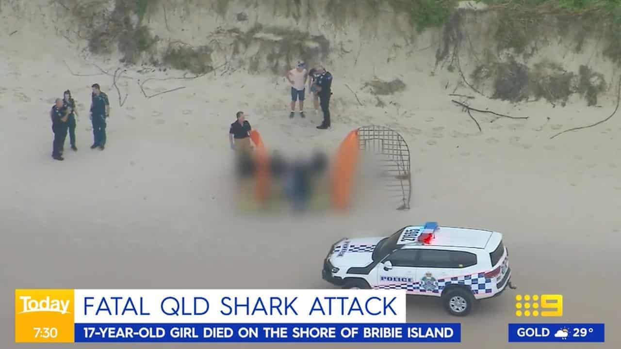 'Happiest place': shark attack victim loved the ocean