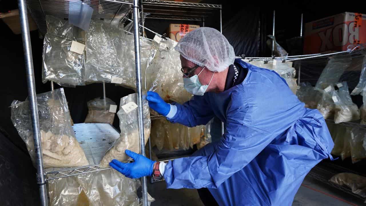 Man to remain behind bars over record drug haul charges