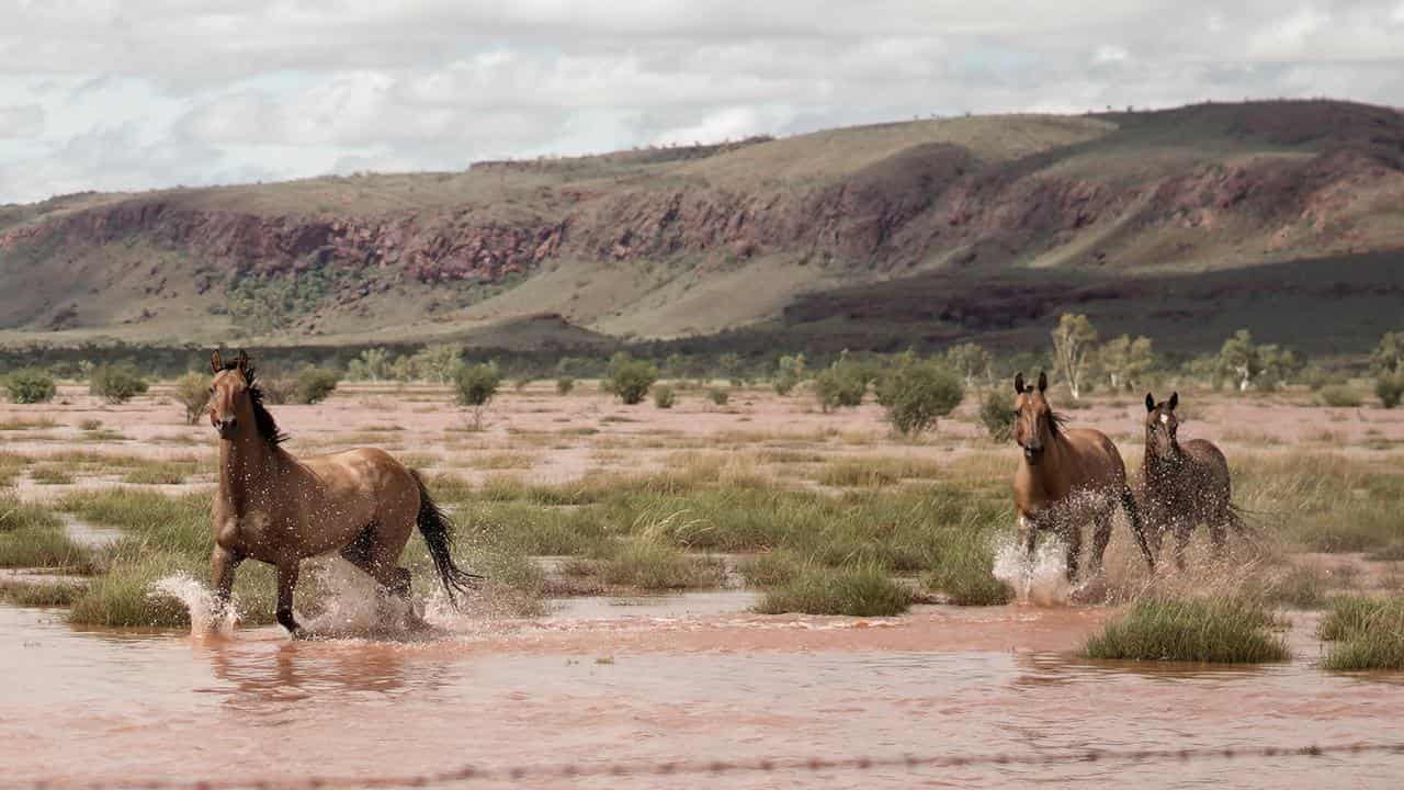 Death toll rises from disease linked with heavy rain