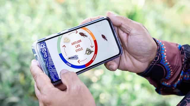 Preserving cultural knowledge and language using AI