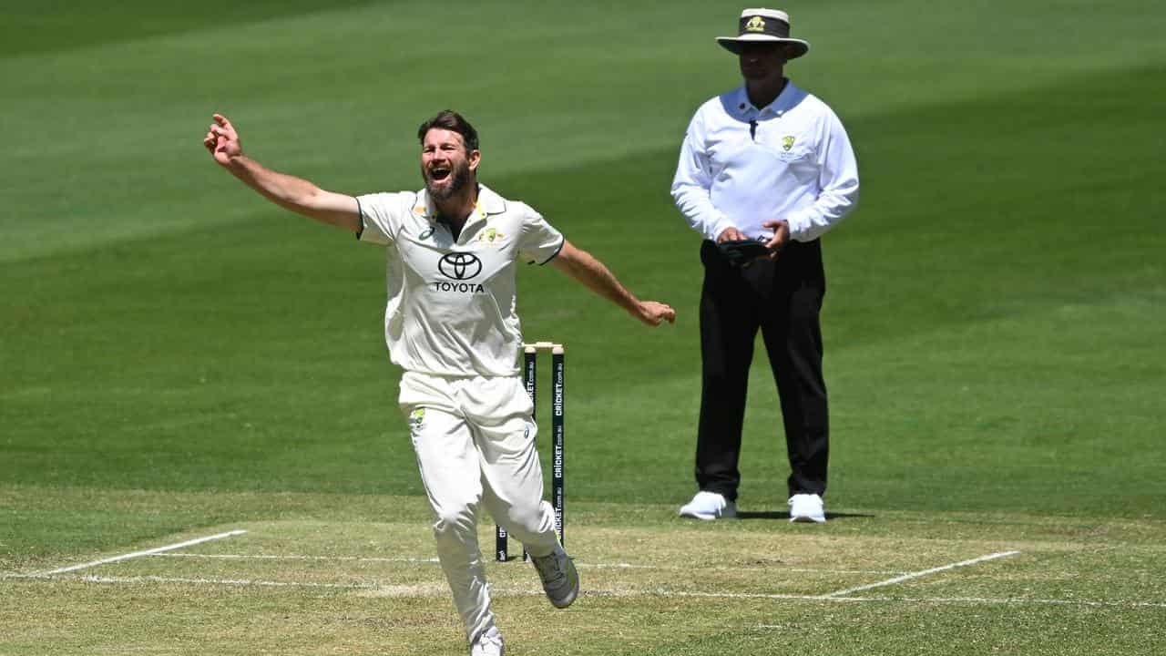 Queensland's Neser tears through Tas Shield top order