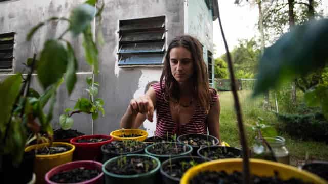 Squatters vow to stay in condemned, flood-ravaged homes
