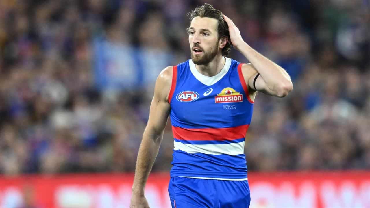 Bulldog Bontempelli's calf injury 'progressing nicely'